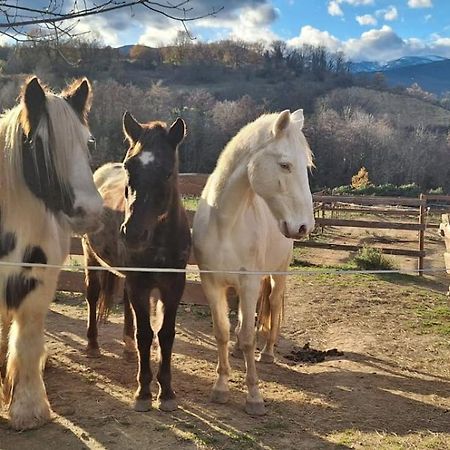 Chambre D'Hotes Le Petit Ranch 罗斯玛索斯 外观 照片