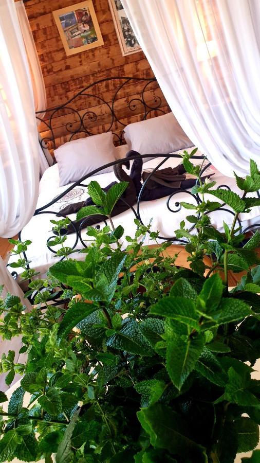 Chambre D'Hotes Le Petit Ranch 罗斯玛索斯 外观 照片