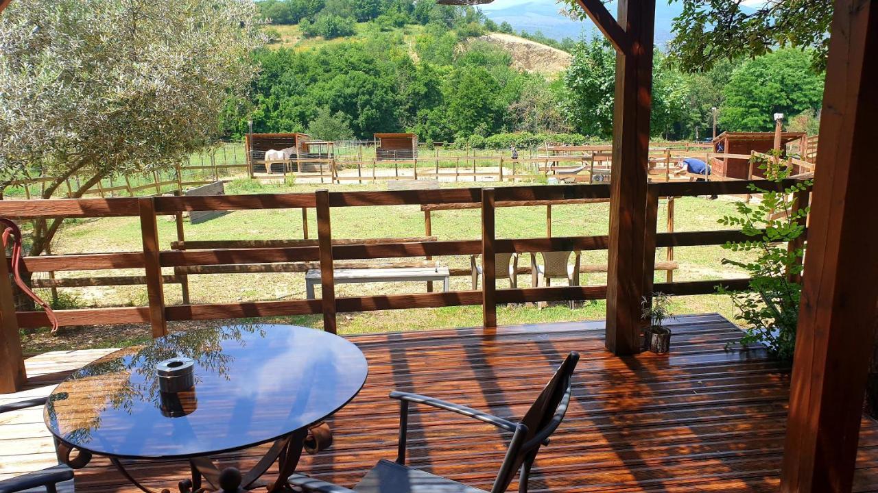 Chambre D'Hotes Le Petit Ranch 罗斯玛索斯 外观 照片