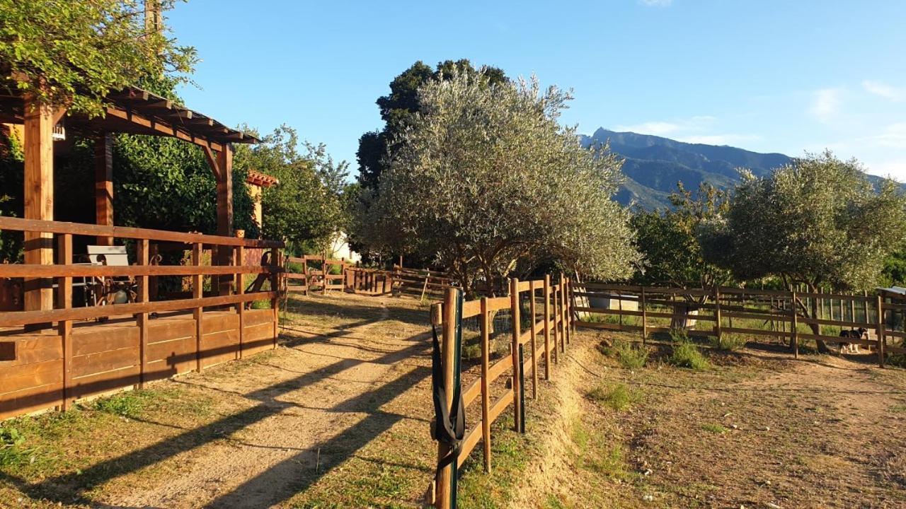 Chambre D'Hotes Le Petit Ranch 罗斯玛索斯 外观 照片