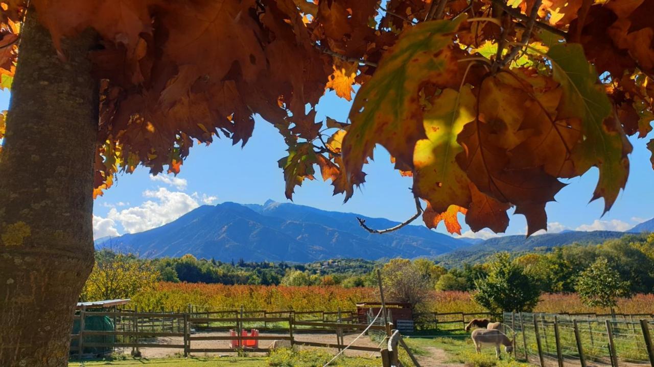 Chambre D'Hotes Le Petit Ranch 罗斯玛索斯 外观 照片