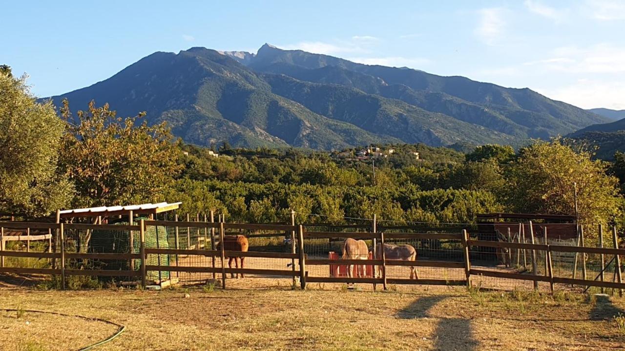 Chambre D'Hotes Le Petit Ranch 罗斯玛索斯 外观 照片