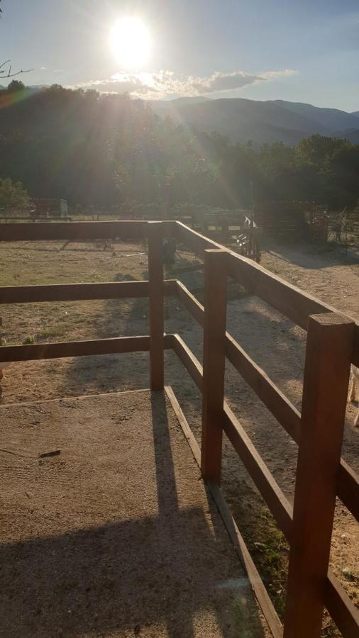 Chambre D'Hotes Le Petit Ranch 罗斯玛索斯 外观 照片