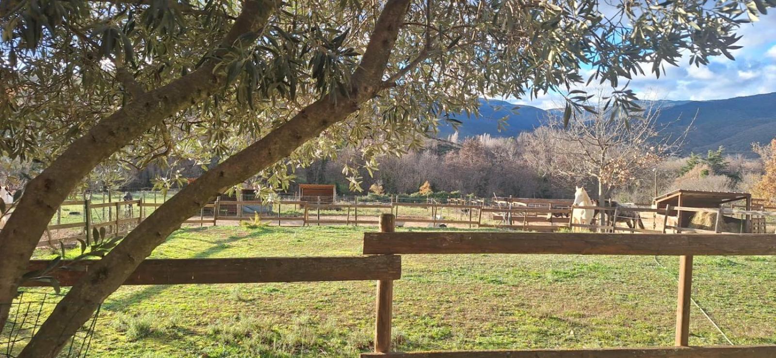 Chambre D'Hotes Le Petit Ranch 罗斯玛索斯 外观 照片